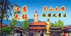 日本插鸡巴视频江苏无锡灵山大佛旅游风景区